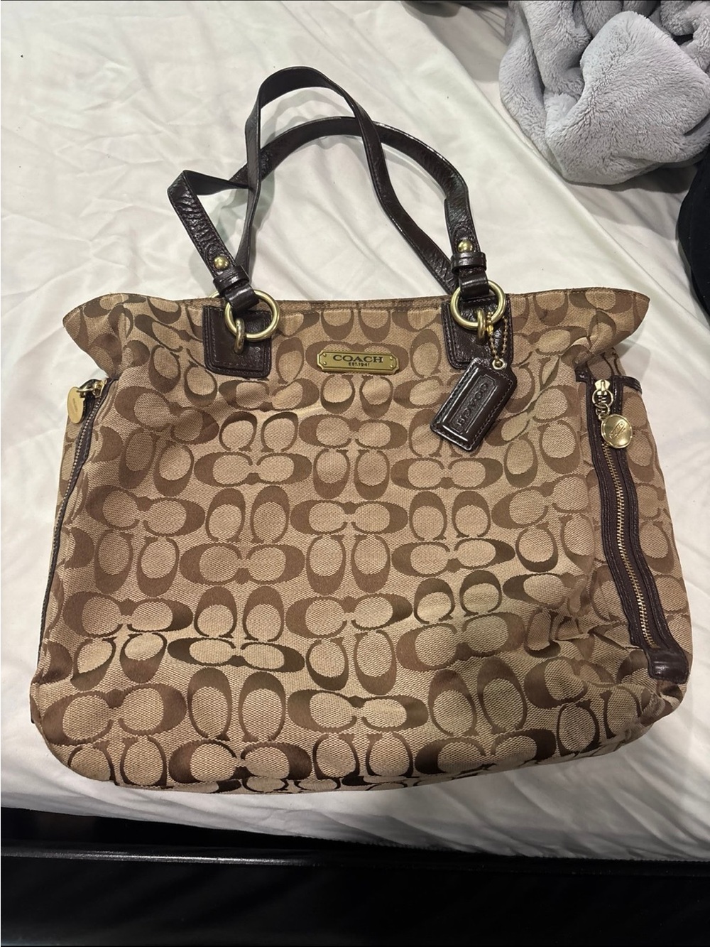 COACH Signature Canvas Tote in Brown